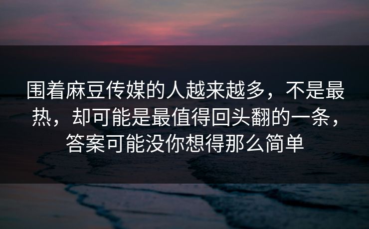 围着麻豆传媒的人越来越多，不是最热，却可能是最值得回头翻的一条，答案可能没你想得那么简单