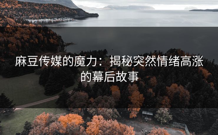 麻豆传媒的魔力：揭秘突然情绪高涨的幕后故事