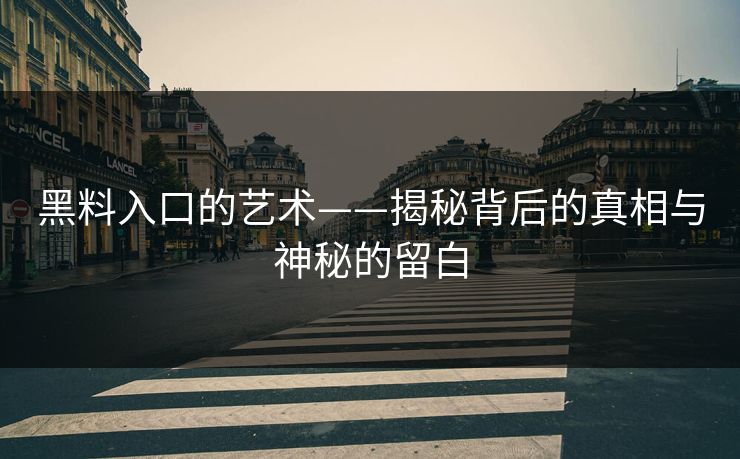 黑料入口的艺术——揭秘背后的真相与神秘的留白