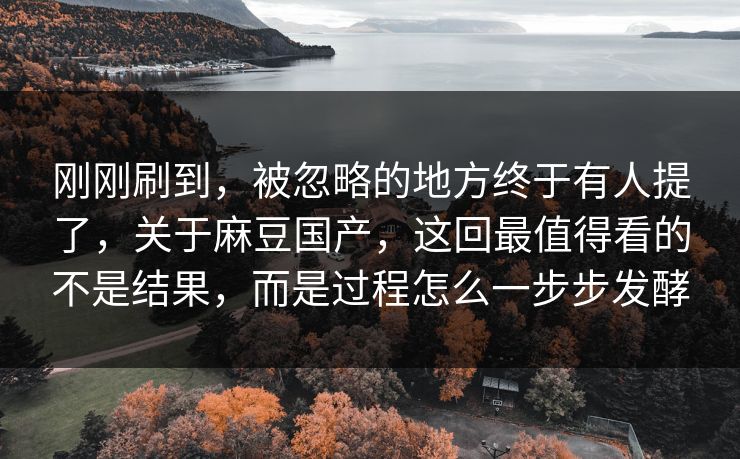 刚刚刷到，被忽略的地方终于有人提了，关于麻豆国产，这回最值得看的不是结果，而是过程怎么一步步发酵