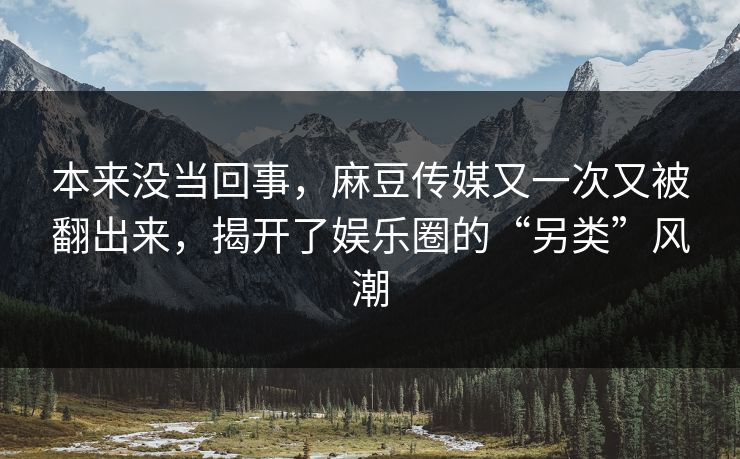 本来没当回事，麻豆传媒又一次又被翻出来，揭开了娱乐圈的“另类”风潮