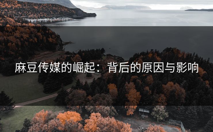 麻豆传媒的崛起：背后的原因与影响