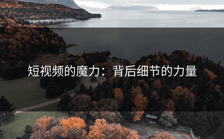 短视频的魔力：背后细节的力量