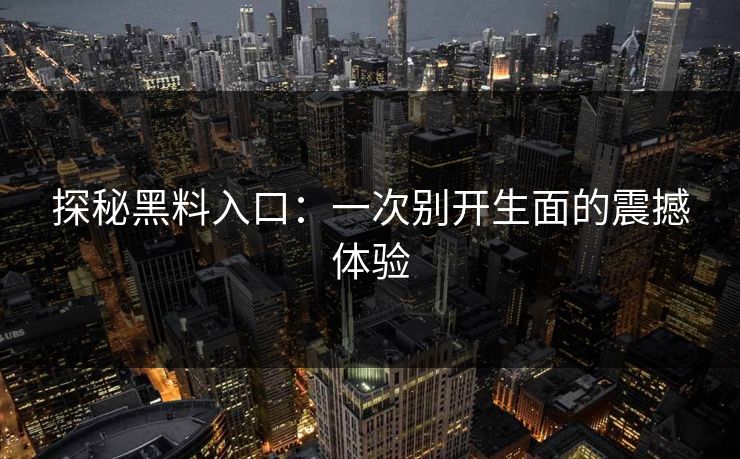 探秘黑料入口:一次别开生面的震撼体验