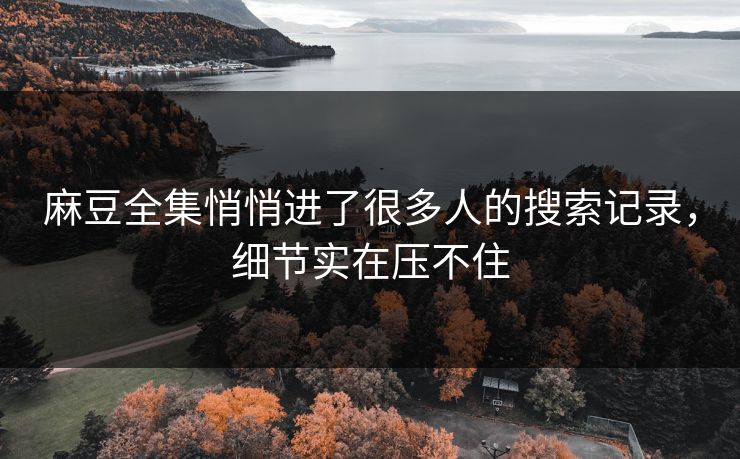 麻豆全集悄悄进了很多人的搜索记录，细节实在压不住