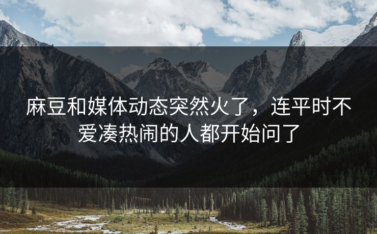 麻豆和媒体动态突然火了,连平时不爱凑热闹的人都开始问了
