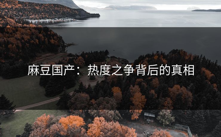 麻豆国产：热度之争背后的真相