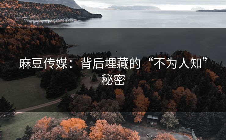 麻豆传媒:背后埋藏的“不为人知”秘密